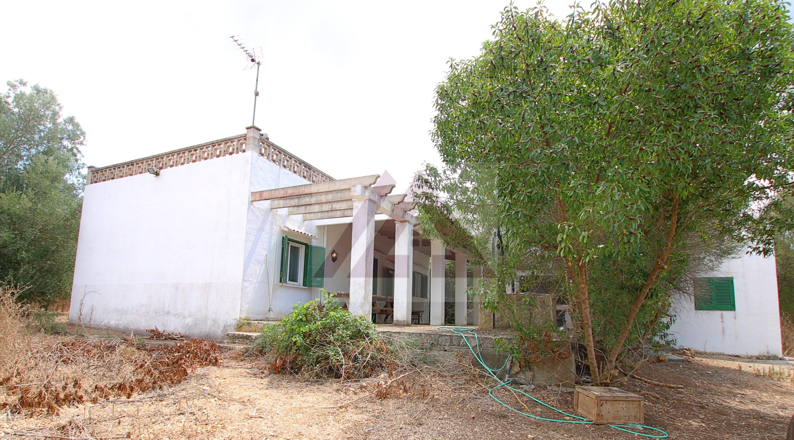 home-1