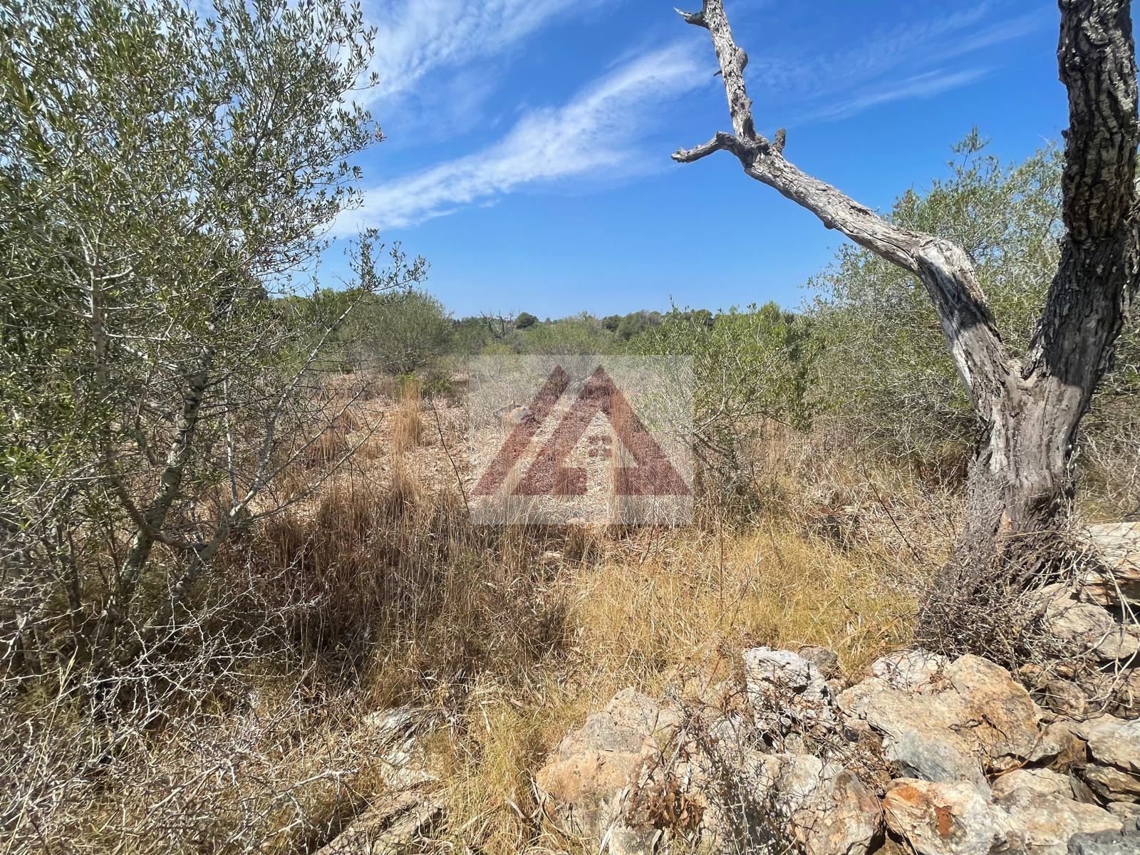 listing-small
