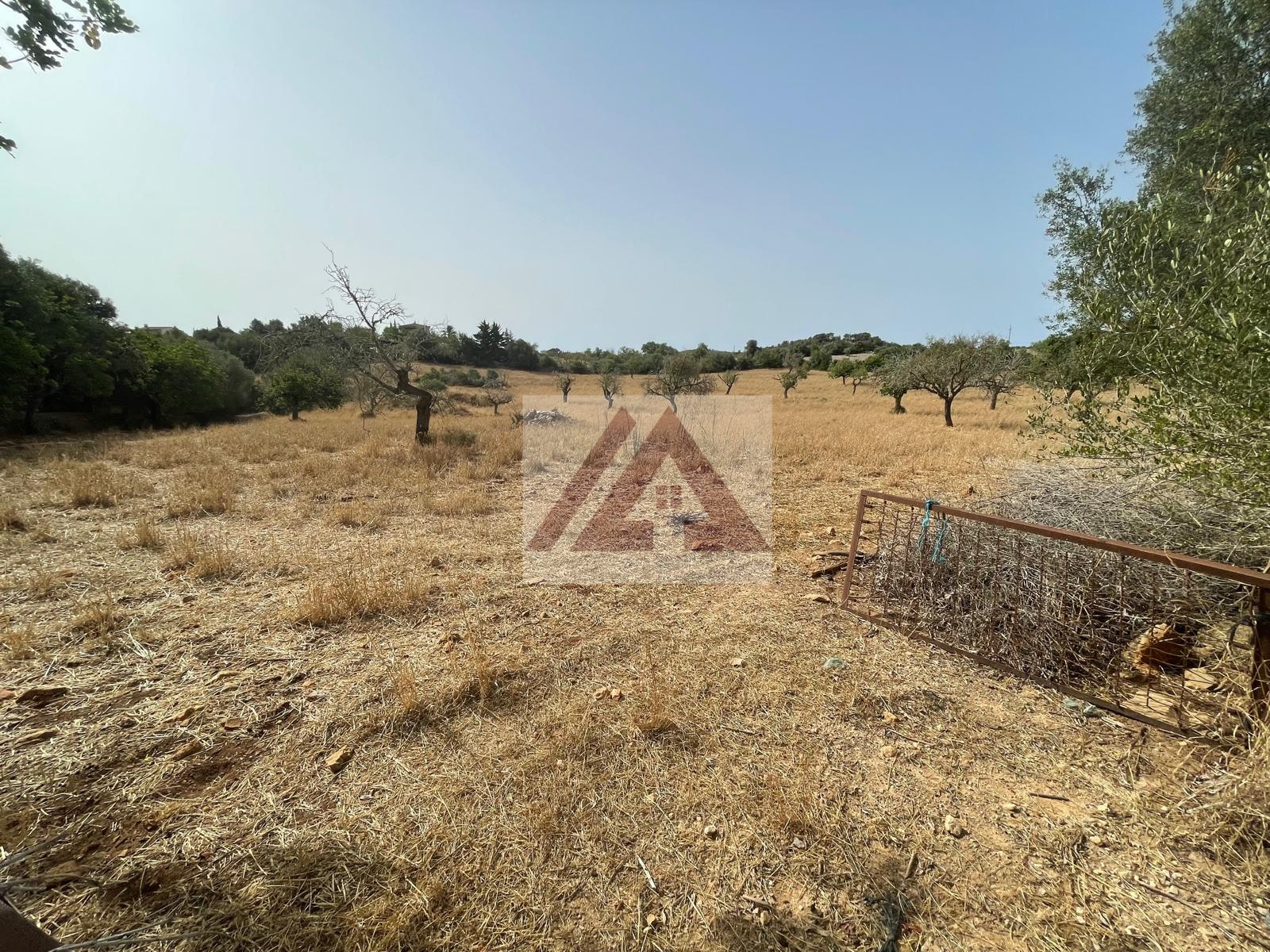 listing-small